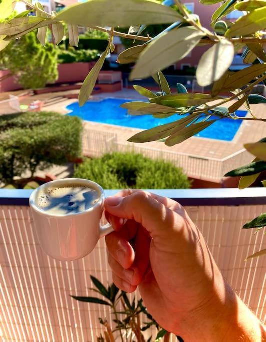 Coeur De Frejus, 3 Pièces Climatisé Avec Piscine, Terrasse, Barbecue Appartamento